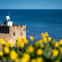 Buy canvas prints of Daffodils at the clocktower by Gary Holpin