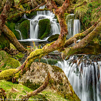 Buy canvas prints of Dartmoor hidden waterfall by Gary Holpin