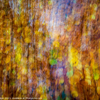 Buy canvas prints of Impressions of autumn leaves by Gary Holpin
