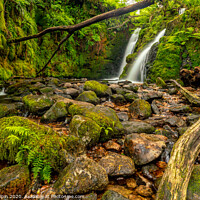 Buy canvas prints of A beautiful hidden waterfall by Gary Holpin