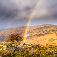 Buy canvas prints of Double rainbow over a lone Dartmoor tree by Gary Holpin