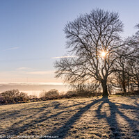 Buy canvas prints of Shadows of a tree on a frosty Devon hilltop by Gary Holpin