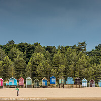 Buy canvas prints of Beach Huts at Wells-next-the-Sea by Patrick Metcalfe