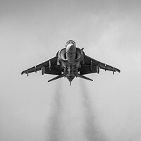 Buy canvas prints of Harrier Jet in the Hover by Patrick Metcalfe