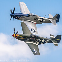 Buy canvas prints of Pair of P-51 Mustangs in Formation by Patrick Metcalfe