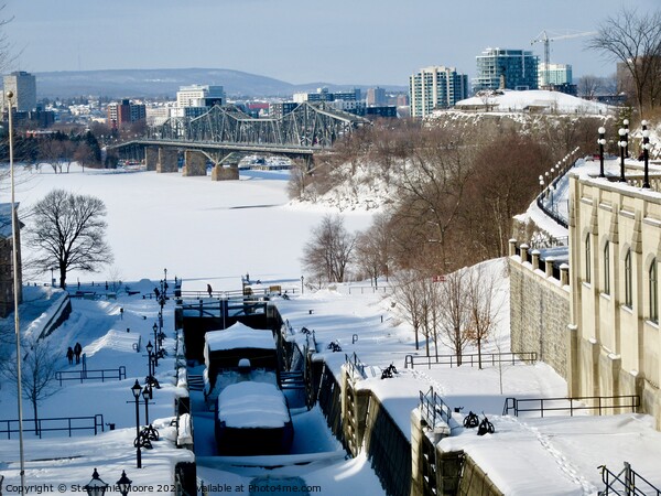 Rideau Canal in Winter Picture Board by Stephanie Moore