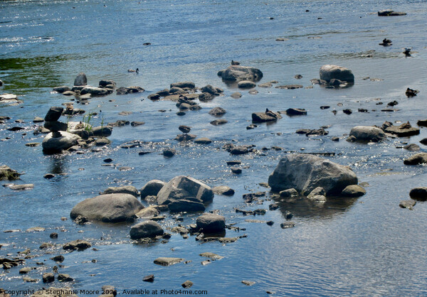 Rocks in the River Picture Board by Stephanie Moore