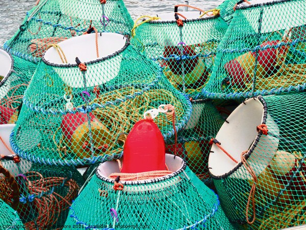 Lobster traps Picture Board by Stephanie Moore