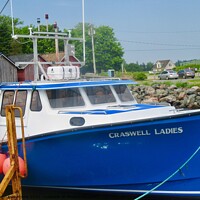 Buy canvas prints of Craswell Ladies by Stephanie Moore