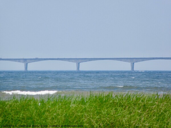 Confederation Bridge on a misty day Picture Board by Stephanie Moore