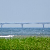 Buy canvas prints of Confederation Bridge on a misty day by Stephanie Moore