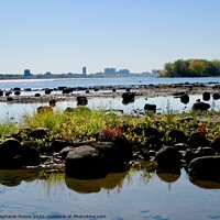 Buy canvas prints of Low water in the Ottawa River by Stephanie Moore
