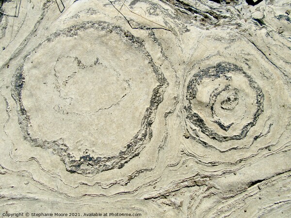 Ancient Stromatolites Picture Board by Stephanie Moore