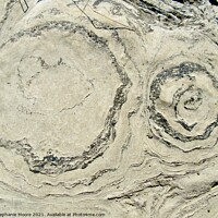 Buy canvas prints of Ancient Stromatolites by Stephanie Moore