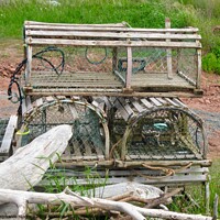 Buy canvas prints of Lobster Pots by Stephanie Moore
