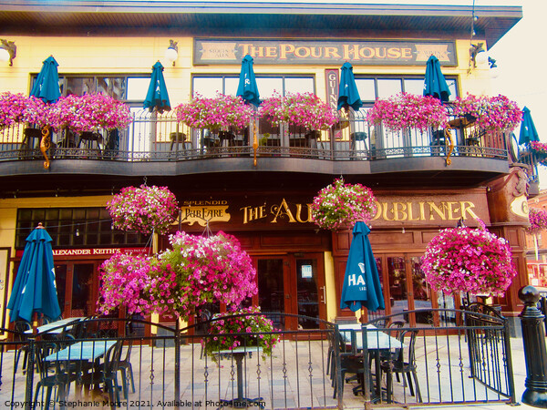 pub flowers  Picture Board by Stephanie Moore