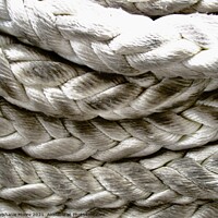 Buy canvas prints of Coiled rope by Stephanie Moore