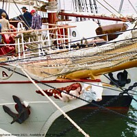 Buy canvas prints of Tall Ship Europa by Stephanie Moore