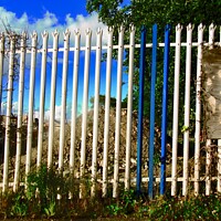 Buy canvas prints of Painted metal fence by Stephanie Moore