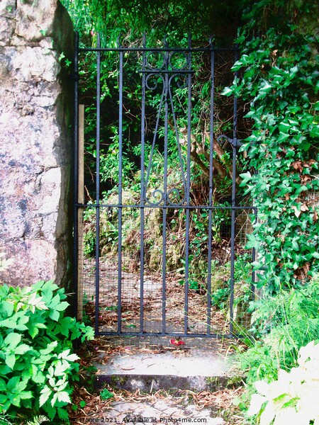 Gateway at Glenveagh Castle Picture Board by Stephanie Moore