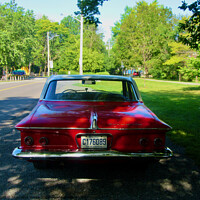 Buy canvas prints of 1962 Plymouth from the back by Stephanie Moore