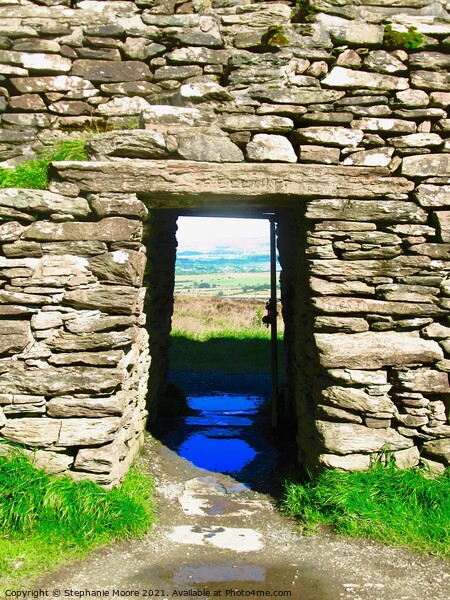 Doorway at Grianan or Aileach Picture Board by Stephanie Moore