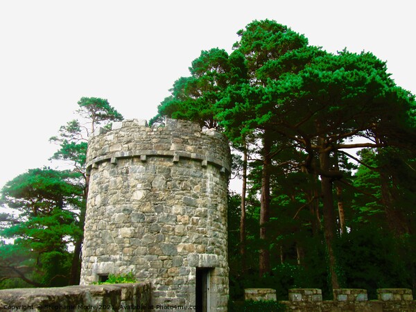 Glenveagh tower Picture Board by Stephanie Moore