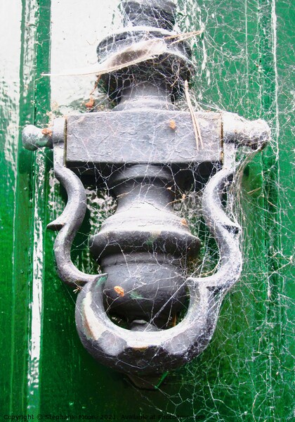 Cobwebby Door knocker Picture Board by Stephanie Moore