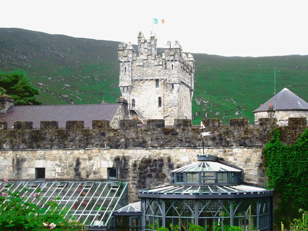 Glenveagh Castle and greenhouses Picture Board by Stephanie Moore