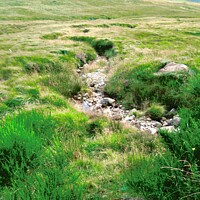 Buy canvas prints of Small Stream by Stephanie Moore