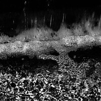 Buy canvas prints of Water in the Fountain in black and white by Stephanie Moore