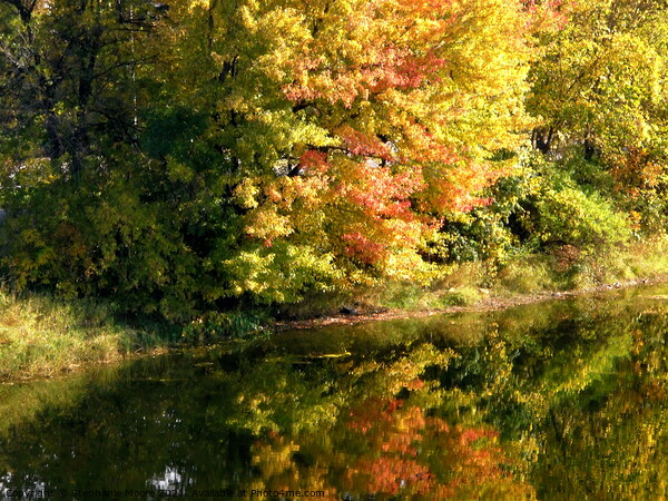 Fall Reflections Picture Board by Stephanie Moore