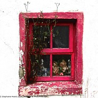 Buy canvas prints of Red Window by Stephanie Moore