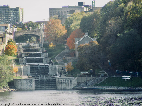 Rideau Canal Locks Picture Board by Stephanie Moore