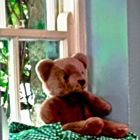 Buy canvas prints of Bear in the Window by Stephanie Moore