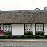 Buy canvas prints of Thatched cottage by Stephanie Moore