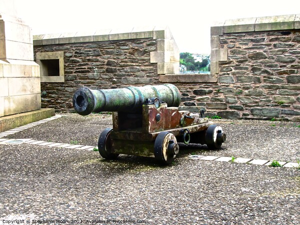 Cannon on the Walls of Derry Picture Board by Stephanie Moore