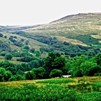 Buy canvas prints of Hills of Sligo, Donegal, Ireland by Stephanie Moore