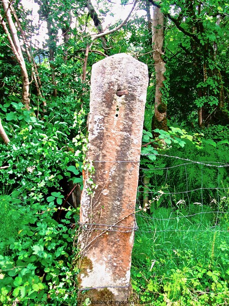 Old stone gatepost Picture Board by Stephanie Moore