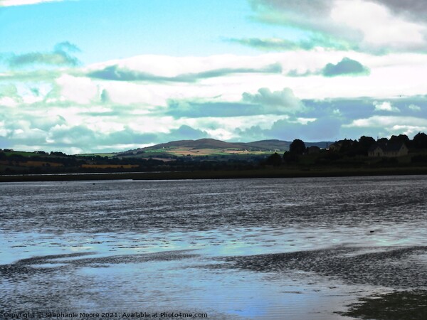 Inch Island  Picture Board by Stephanie Moore