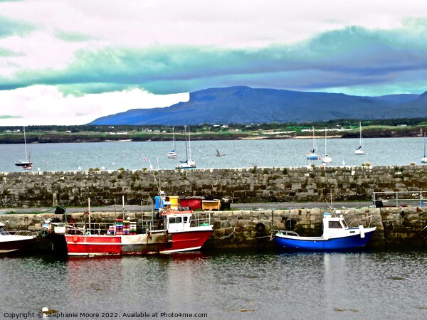 Milk Harbour, Sligo Picture Board by Stephanie Moore