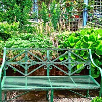 Buy canvas prints of Green Wrought Iron Bench by Stephanie Moore