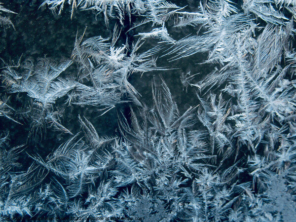 Ice Art #1 Picture Board by Stephanie Moore