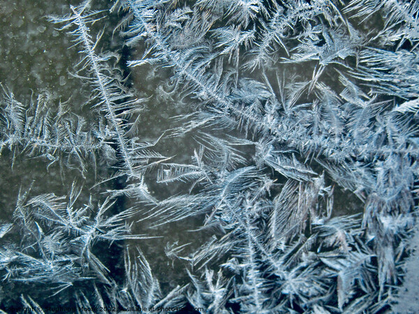 Ice Art #2 Picture Board by Stephanie Moore