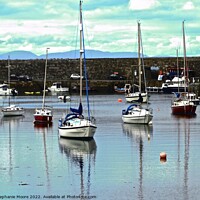 Buy canvas prints of Boats in Milk Harbour by Stephanie Moore