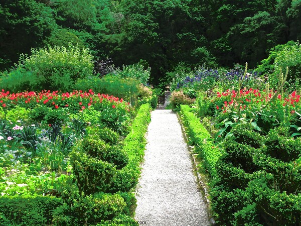 Garden Path Picture Board by Stephanie Moore