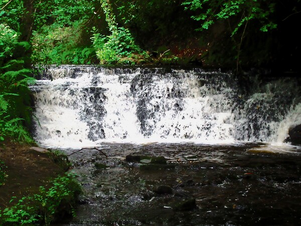 Glencar waterfall Picture Board by Stephanie Moore