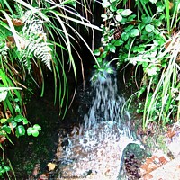 Buy canvas prints of Tiny waterfall by Stephanie Moore