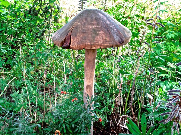 Wooden toadstool  Picture Board by Stephanie Moore