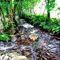 Buy canvas prints of Rushing stream by Stephanie Moore